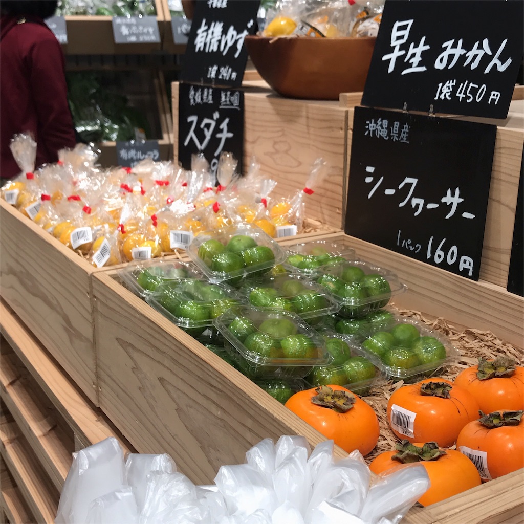 f:id:funenoblog:20181111112232j:image