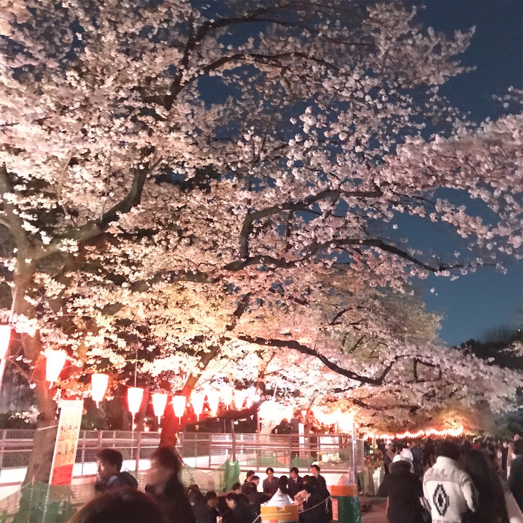 f:id:funenoblog:20190416160456j:image f:id:funenoblog:20190416160456j:image