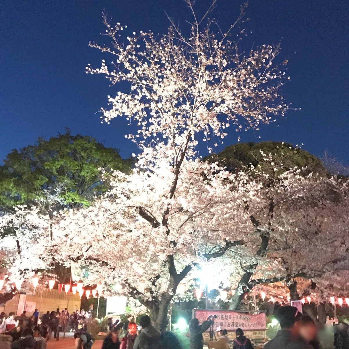 f:id:funenoblog:20190419005840j:plain f:id:funenoblog:20190419005840j:plain