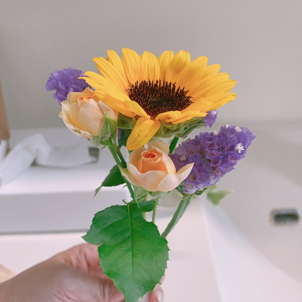 f:id:funenoblog:20200814171155j:plain